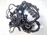 2015 Triumph Tiger Explorer Wiring Harness Loom - T2501095. Fixed Price $53.74.