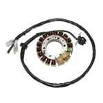 Pro Comp Suspension Electrosport ESG490 Lighting Stator TRX400R High Power. Fixed Price $143.03.