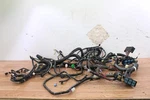 2010 Kubota RTV1100 Diesel Chassis Main Wire Harness Wiring. Fixed Price $89.00.