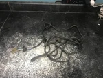 85-87 Honda Headlight Wiring Assembly # 32127-HA0-000 Atc 250 Es Big Red. Fixed Price $39.95.