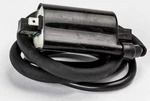 Ricks Ignition Coil # 23-106. Fixed Price $74.45.