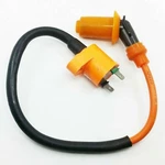 Ignition Coil Module For Atv Quad DS250 Can-am Bombardier S3051ARB1000. Fixed Price $12.99.