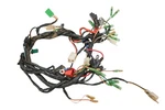 05 Polaris Predator 90 Wire Harness Electrical Wiring. Fixed Price $225.99.