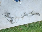 2004 Kawasaki Prairie 360 4WD Used Oem Main Wire Wiring Harness Loom. Fixed Price $160.00.