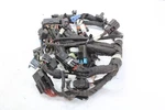 16-17 Polaris Pro Rmk 800 Oem Main Harness 2412446. Fixed Price $225.00.