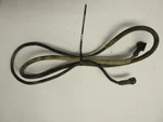 1988 Yamaha Starter Lead Wire. Fixed Price $9.56.