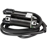 Ricks Ignition Coil For Honda 23-105. Fixed Price $78.50.