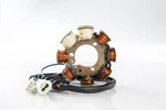 Ricks Electric Stator 21-624. Fixed Price $169.95.
