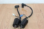 2018 Polaris 800 Pro Rmk Ignition Coils Set. Fixed Price $35.00.