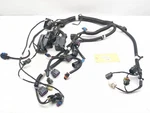 14-20 Polaris Slingshot Main Wiring Harness Wire Loom Electrical 2413915. Fixed Price $219.80.
