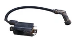 06 Can-am Rally 175 Ignition Coil Bombardier. Fixed Price $79.99.