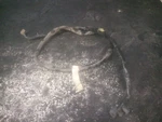2003 Honda Handle Bar Sub Harness # 32410-HN8-000 TRX650FA Rincon. Fixed Price $12.95.