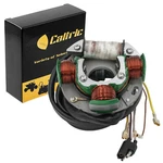 Stator For Polaris 3083979 3083976 Magneto. Fixed Price $132.13.