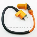 Ignition Coil Module For Atv Quad DS250 Can-am Bombardier S3051ARB1000. Fixed Price $15.59.