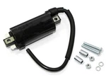 Bronco Ignition Coil AT-01315 183-2014 999743. Fixed Price $36.86.