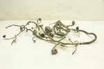 Can-am Outlander 570 Xt 21 Wiring Harness Main Chassis 710007265 49818. Fixed Price $249.99.