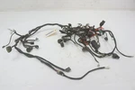 Yamaha Grizzly 700 Eps Se 23 Wiring Harness Main Chassis B4F-82590-12-00 53135. Fixed Price $295.99.