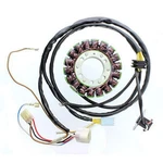 Electrosport Stator Polaris Sportsman ESG803. Fixed Price $194.00.