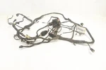 Arctic Cat Prowler 700 Hdx 12 Wiring Harness Chassis 0486-426 50465. Fixed Price $339.99.
