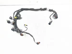 22-25 Can Am Ryker 900 Sport Engine Wiring Harness 420864359. Fixed Price $96.19.
