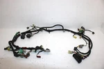 2009 Honda Trx 500 Fpea Foreman P/s Oem Main Wire Harness 32100-HP0-E31 AH17. Fixed Price $141.99.
