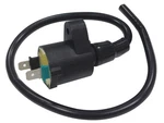 Bronco Atv Ignition Coil AT-01300. Fixed Price $27.21.