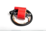 Ricks Ignition - Coils. Fixed Price $58.23.