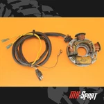 97-06 2001 Trail Blazer 250 Oem Stator Magneto Alternator Generator Wiring. Fixed Price $69.99.