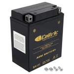 Agm Battery For Yamaha Timberwolf YFB250FW 4WD 1994-2000. Fixed Price $58.00.