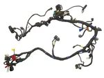 2022 Royal Enfield INT650 Main Wire Harness Loom Oem. Fixed Price $128.24.