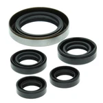 2003-2004 Polaris Predator 500 Atv Vertex Engine Oil Seal Kit. Fixed Price $23.93.