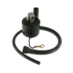 Ignition Coil 96-14 12V Yamaha Grizzly Raptor Kodiak TTR125 TW200 YZ80 Badger. Fixed Price $36.41.
