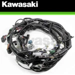 New 2009 Genuine Kawasaki Teryx 750 Fi 4X4 Le Sport Main Wire Harness 26031-0853. Fixed Price $607.17.
