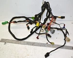 Arctic Cat 300 4X4 Electrical Wiring Wire Harness Loom 0486-044 2000-2001. Fixed Price $179.95.