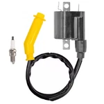 Ignition Coil Spark For Yamaha Yfz 450 Se 2009-2024 # 18P-82310-00-00. Fixed Price $29.99.