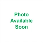 Wild Boar Solenoid Remote 240-54002. Fixed Price $16.60.