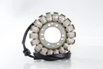 Ricks Electric Stator For Triumph Daytona 955I 2002-2006. Fixed Price $174.95.
