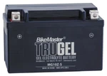Bikemaster Trugel Battery For Yamaha YZF-R6 2006-2016 Blue HTZ10S-GEL. Fixed Price $57.99.