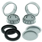 Quadboss Fits 06-09 Arctic Cat 250 2X4 Swingarm Repair Kit. Fixed Price $63.99.