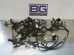 EB1067 2019 Husqvarna Vitpilen 701 Main Wire Harness. Fixed Price $329.99.