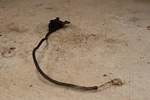 02-07 Suzuki Vinson LT-F500F Gear Indicator Sensor Switch. Fixed Price $14.40.