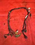 #3 2003 Suzuki Ozark LT-F250 Main Wiring Harness 36610-05G00. Fixed Price $129.95.