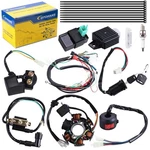 Complete Electrics Wiring Harness Coil Stator Solenoid Relay Cdi Spark Plug F.... Fixed Price $43.35.