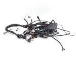 Main Engine Wiring Harness 2010 Kawasaki KFX450R 3366. Fixed Price $254.19.