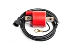 Ricks 1990-2006 Trail Blazer 250 Polaris Ignition Coil 23-501. Fixed Price $80.21.