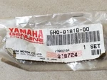 5H0-81818-00-00 Genuine Oem Yamaha Starter Brush Terminal Set 1992 Timber Wolf. Fixed Price $9.95.