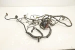 Arctic Cat Prowler 700 Hdx 12 Wiring Harness Chassis 0486-426 52878. Fixed Price $339.99.