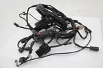 2004 Harley Davidson Electra Glide Main Wiring Harness 70985-04. Fixed Price $119.24.