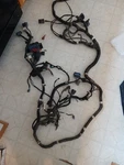 2021 Polaris Rzr 1000 Xp Wiring Harness Damaged 2414463. Fixed Price $109.00.