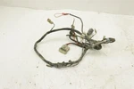 Arctic Cat Dvx 250 07 Wiring Harness Main Chassis 3304-276 33629. Fixed Price $84.99.
